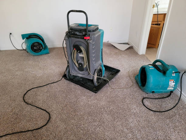 Best Sewage cleanup and water damage restoration  in Woodsfield, OH