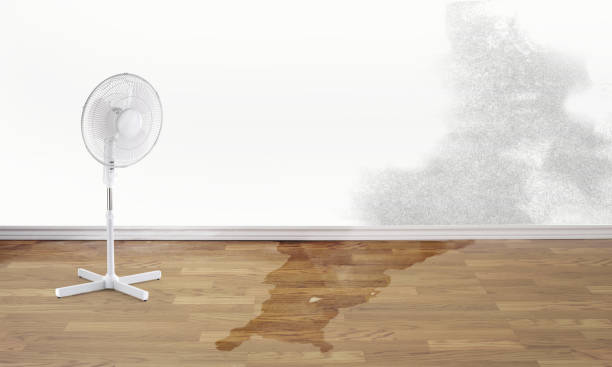 Best Fire Damage Restoration  in Woodsfield, OH