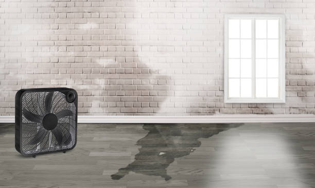 Best Emergency water damage restoration  in Woodsfield, OH