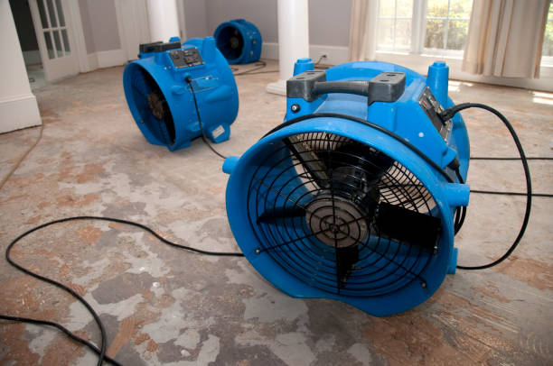 Best Water damage restoration near me  in Woodsfield, OH
