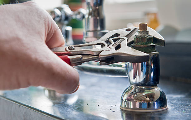 Best Mold removal after water damage  in Woodsfield, OH