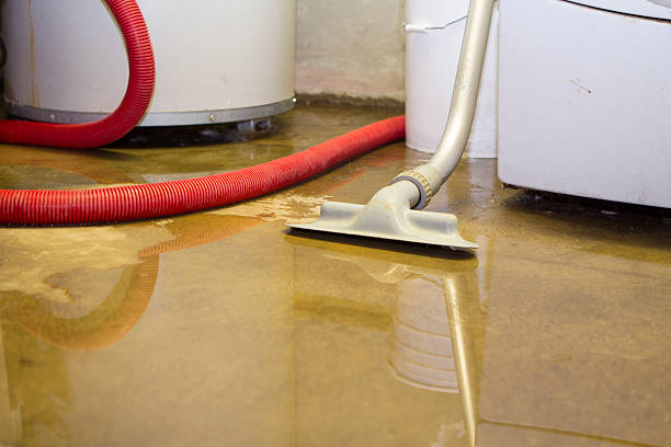  Woodsfield, OH Water damage restoration Pros