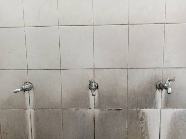 Best Ceiling water damage repair  in Woodsfield, OH