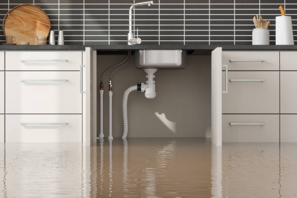 Best 24/7 water damage repair  in Woodsfield, OH